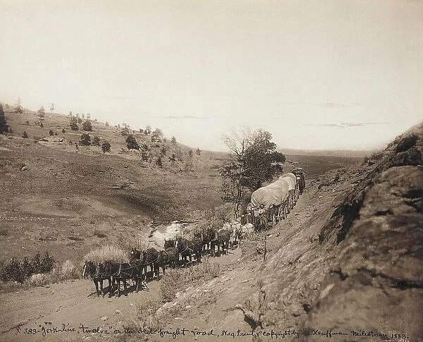 Jerk-line 12, on the Old Freight Road, Milestone, Montana, 1883. Creator: Laton Alton Huffman