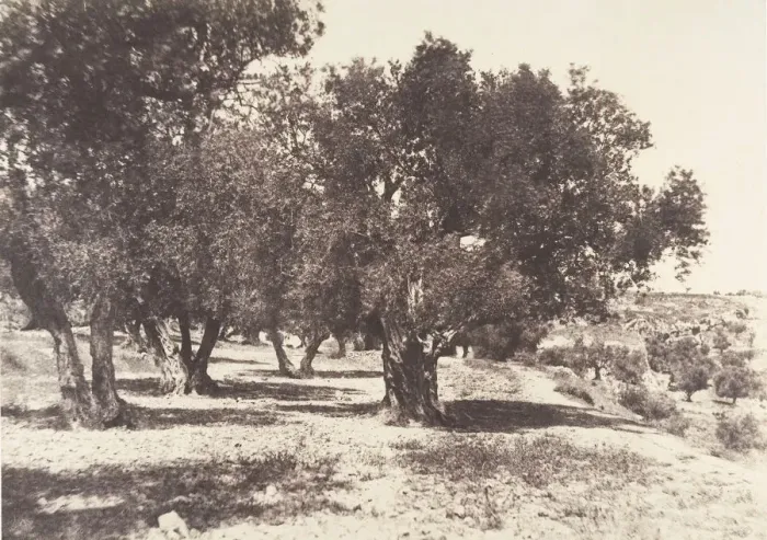 Framed Print : Jerusalem, Champ du sang, 1854. Creator: Auguste Salzmann Framed Print : Jerusalem, Champ du sang, 1854. Creator: Auguste Salzmann