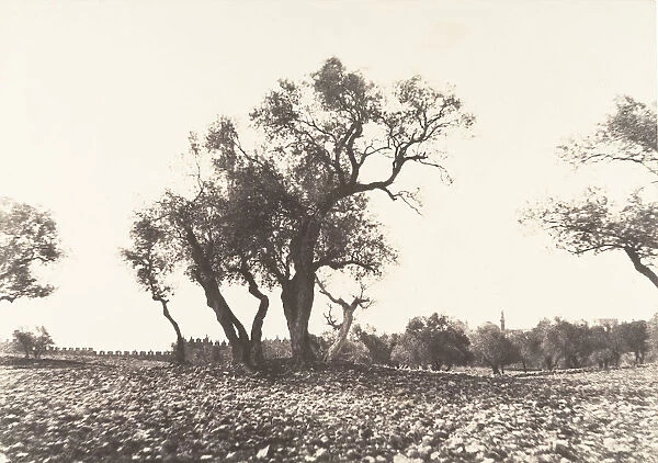 Jerusalem, Chemin de Naplouse, 1854. Creator: Auguste Salzmann