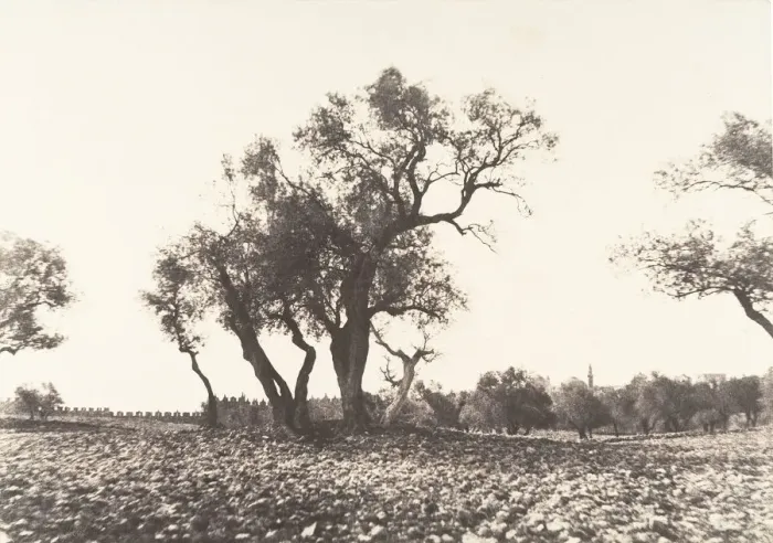 Framed Print : Jerusalem, Chemin de Naplouse, 1854. Creator: Auguste Salzmann Framed Print : Jerusalem, Chemin de Naplouse, 1854. Creator: Auguste Salzmann