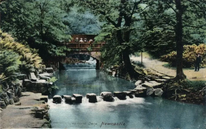 Framed Print : Jesmond Dene, Newcastle, c1905 Framed Print : Jesmond Dene, Newcastle, c1905