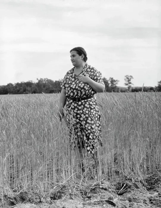 Framed Print : Jewish-American farm mother, Mrs. Cohen, wife of the farm manager, Hightstown, New Jersey, 1936. Creator: Dorothea Lange Framed Print : Jewish-American farm mother, Mrs. Cohen, wife of the farm manager, Hightstown, New Jersey, 1936. Creator: Dorothea Lange