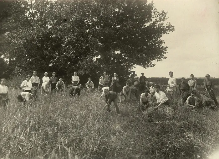Framed Print : Jewish Pedagogical College and Agricultural School - At field work / Barley is... Minsk, 1922-1923. Creator: Unknown Framed Print : Jewish Pedagogical College and Agricultural School - At field work / Barley is... Minsk, 1922-1923. Creator: Unknown