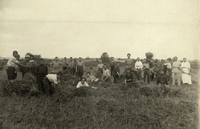Framed Print : Jewish Pedagogical College and Agricultural School - At field work / Harvest, Minsk, 1922-1923. Creator: Unknown Framed Print : Jewish Pedagogical College and Agricultural School - At field work / Harvest, Minsk, 1922-1923. Creator: Unknown
