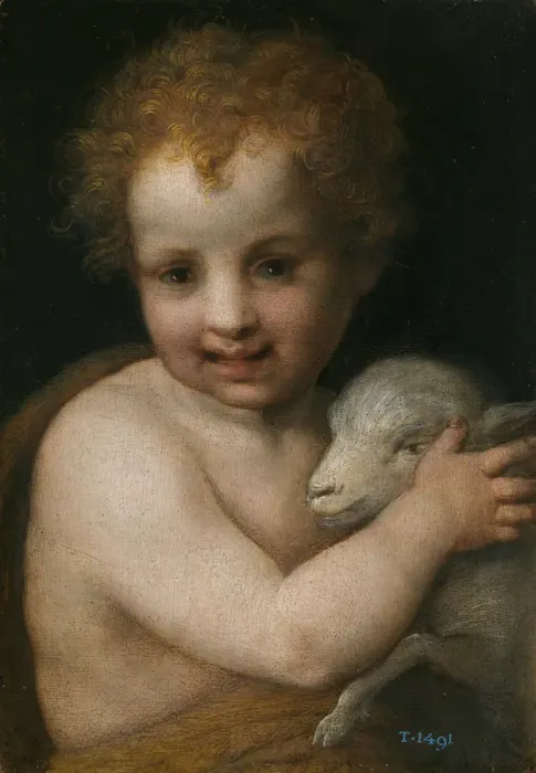 Framed Print : John the Baptist as child. Artist: Andrea del Sarto (1486-1531) Framed Print : John the Baptist as child. Artist: Andrea del Sarto (1486-1531)