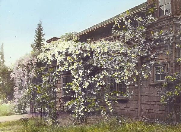 John Constantine Hillman house, 514 California Terrace, Pasadena, California, 1917. Creator: Frances Benjamin Johnston