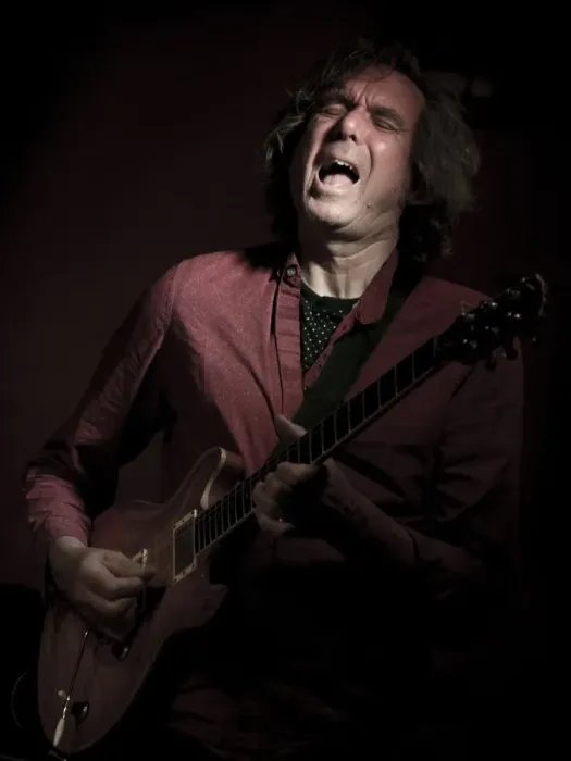Framed Print : John Etheridge, 2016. Artist: Alan John Ainsworth Framed Print : John Etheridge, 2016. Artist: Alan John Ainsworth