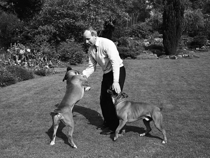 Framed Print : John Surtees playing with his pet dogs at home 1966. Creator: Unknown Framed Print : John Surtees playing with his pet dogs at home 1966. Creator: Unknown