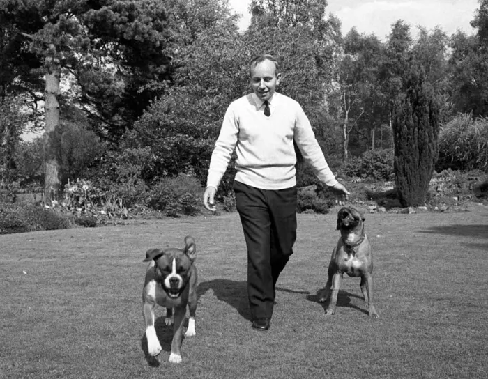 Framed Print : John Surtees playing with his pet dogs at home 1966. Creator: Unknown Framed Print : John Surtees playing with his pet dogs at home 1966. Creator: Unknown