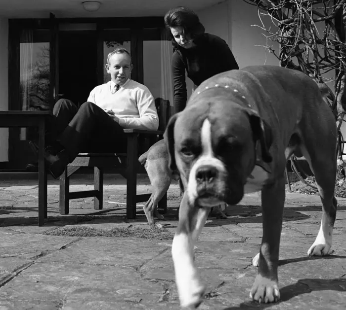Framed Print : John Surtees relaxes at home with his wife and pet dogs in 1966. Creator: Unknown Framed Print : John Surtees relaxes at home with his wife and pet dogs in 1966. Creator: Unknown