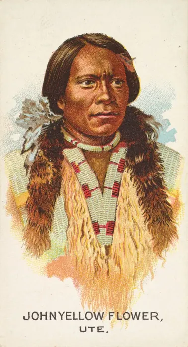 Framed Print : John Yellow Flower, Ute, from the American Indian Chiefs series (N2) for Allen & Framed Print : John Yellow Flower, Ute, from the American Indian Chiefs series (N2) for Allen &