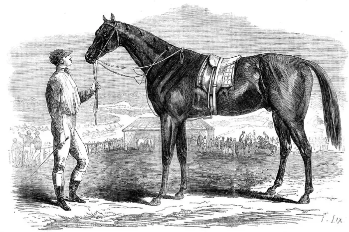 Framed Print : Jonathas, winner of the First Fontainebleau Stakes, 1862. Creator: Unknown Framed Print : Jonathas, winner of the First Fontainebleau Stakes, 1862. Creator: Unknown