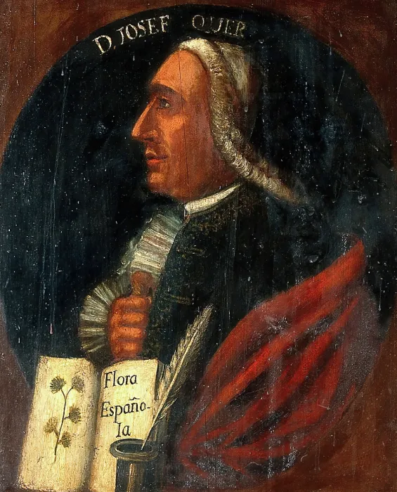 Framed Print : Jose Quer y Martinez (1695-1764). Creator: Unknown Framed Print : Jose Quer y Martinez (1695-1764). Creator: Unknown