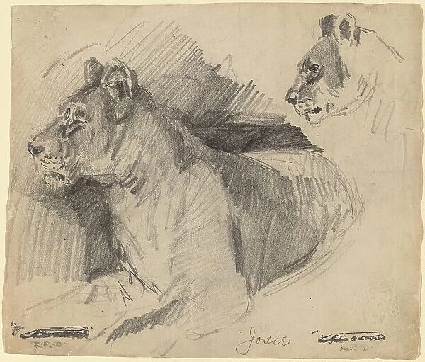 Josie, 1892. Creator: Arthur Davies