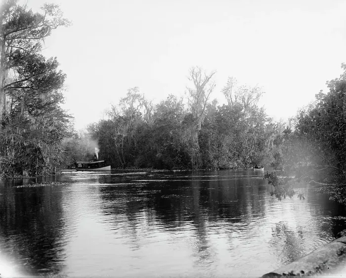 Framed Print : Junction of the Ocklawaha [sic] and Silver Springs rivers, Florida, 1902. Creator: Unknown