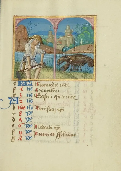 Framed Print : June Calendar Page: Mowing: Cancer; Book of Hours, early 16th century. Creator: Unknown Framed Print : June Calendar Page: Mowing: Cancer; Book of Hours, early 16th century. Creator: Unknown