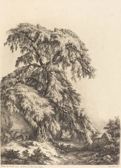 Framed Print : Juniper Tree, 1840. Creator: Eugene Blery Framed Print : Juniper Tree, 1840. Creator: Eugene Blery