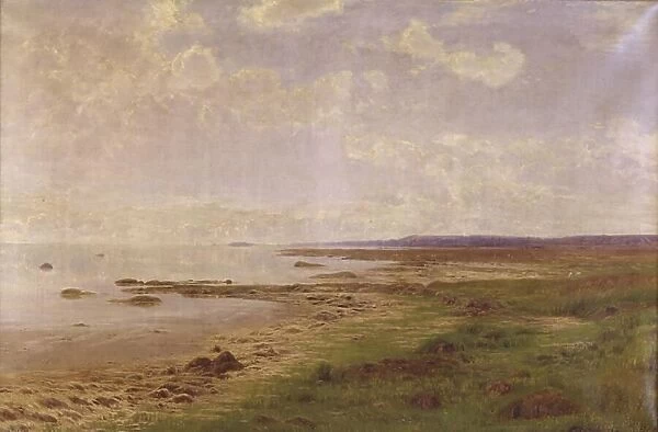 Part of Jutland's east coast; Quiet summer day, 1886. Creator: Anton Thorenfeld