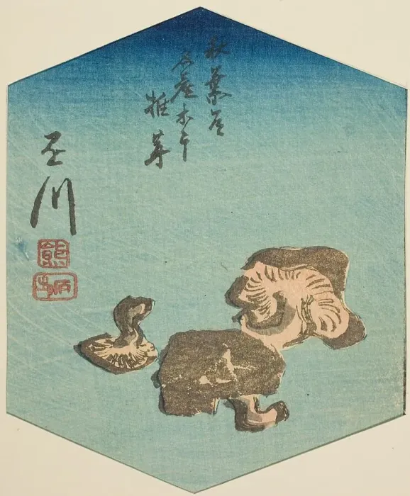 Framed Print : Kakegawa, section of sheet no. 7 from the series Cutout Pictures of the Tokaido Road... c.1848 / 52. Creator: Ando Hiroshige. Kakegawa, section of sheet no. 7 from the series Cutout Pictures of the Tokaido Road... c.1848 / 52 Framed Print : Kakegawa, section of sheet no. 7 from the series Cutout Pictures of the Tokaido Road... c.1848 / 52. Creator: Ando Hiroshige. Kakegawa, section of sheet no. 7 from the series Cutout Pictures of the Tokaido Road... c.1848 / 52