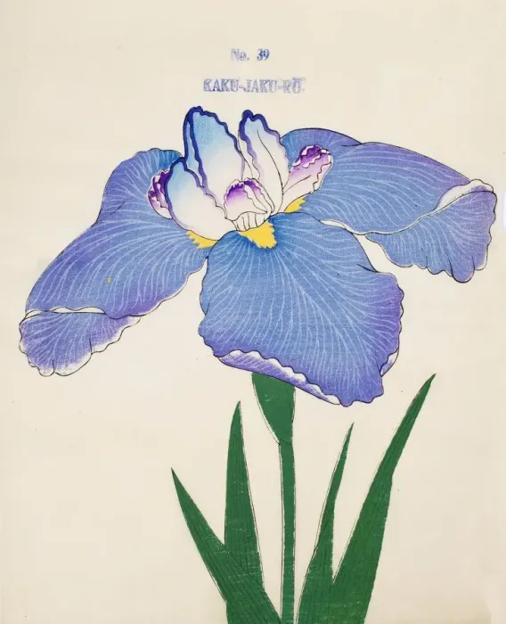 Framed Print : Kaku-Jaku-Ro, No. 39, 1890, (colour woodblock print) Framed Print : Kaku-Jaku-Ro, No. 39, 1890, (colour woodblock print)