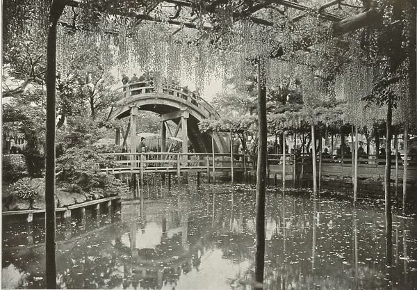 Kameido, 1910. Creator: Herbert Ponting