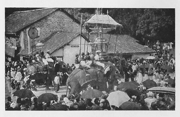 Kandy Perahera. - A Procession of Elephants carried through by the Kandyan Chiefs, c1890, (1910). Artist: Alfred William Amandus Plate