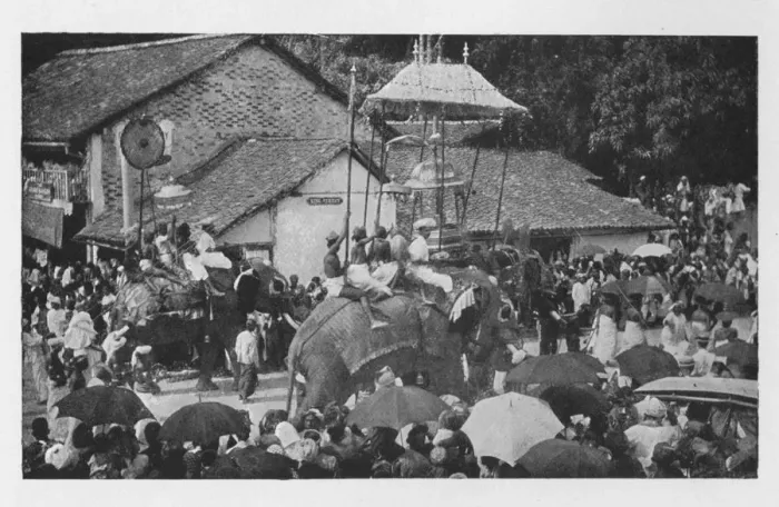 Framed Print : Kandy Perahera. - A Procession of Elephants carried through by the Kandyan Chiefs, c1890, (1910). Artist: Alfred William Amandus Plate Framed Print : Kandy Perahera. - A Procession of Elephants carried through by the Kandyan Chiefs, c1890, (1910). Artist: Alfred William Amandus Plate