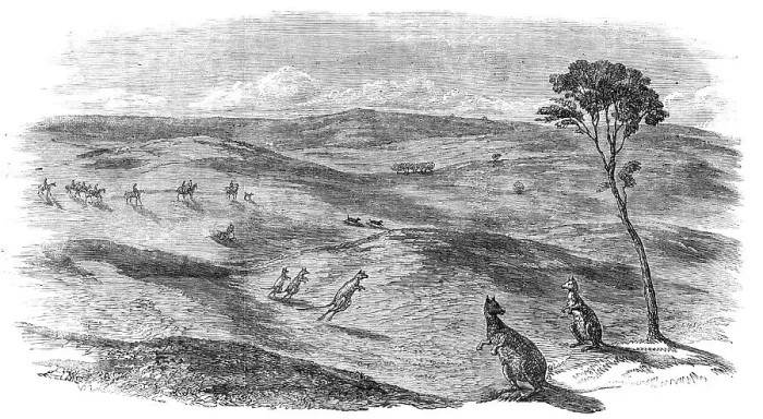Framed Print : Kangaroo Hunt in Western Australia, 1857. Creator: Unknown Framed Print : Kangaroo Hunt in Western Australia, 1857. Creator: Unknown