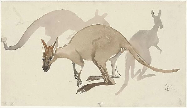 Kangaroos, 1873-1917. Creator: Theo van Hoytema