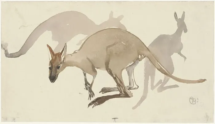 Framed Print : Kangaroos, 1873-1917. Creator: Theo van Hoytema Framed Print : Kangaroos, 1873-1917. Creator: Theo van Hoytema