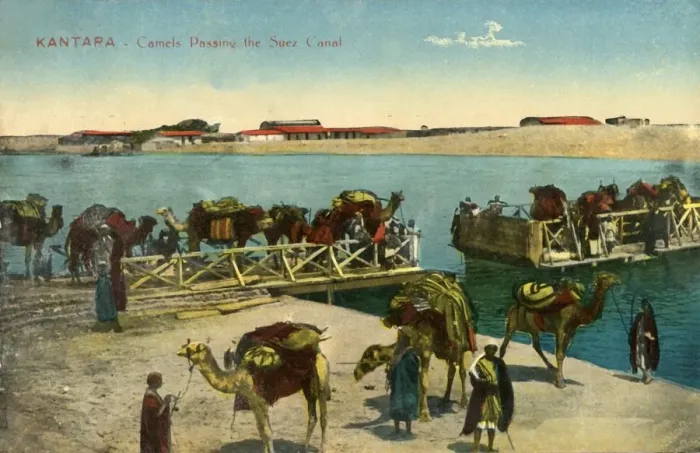 Framed Print : Kantara - Camels passing the Suez Canal, c1918-c1939. Creator: Unknown Framed Print : Kantara - Camels passing the Suez Canal, c1918-c1939. Creator: Unknown