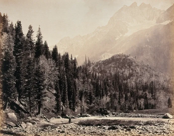 Framed Print : Kashmir: a mountain valley and forest, between 1800 and 1899. Creator: Samuel Bourne Framed Print : Kashmir: a mountain valley and forest, between 1800 and 1899. Creator: Samuel Bourne