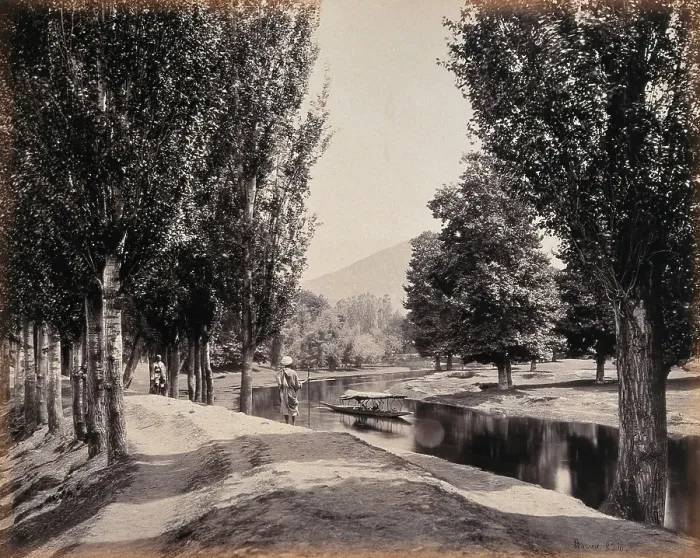 Framed Print : Kashmir: a tree-lined path by a canal, c1870s. Creator: Samuel Bourne Framed Print : Kashmir: a tree-lined path by a canal, c1870s. Creator: Samuel Bourne