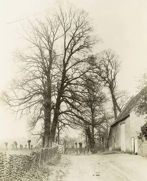 Kelmscott Manor: Road and Entrance, 1896. Creator: Frederick Henry Evans