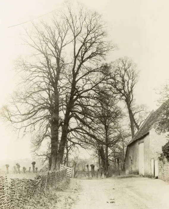 Framed Print : Kelmscott Manor: Road and Entrance, 1896. Creator: Frederick Henry Evans Framed Print : Kelmscott Manor: Road and Entrance, 1896. Creator: Frederick Henry Evans