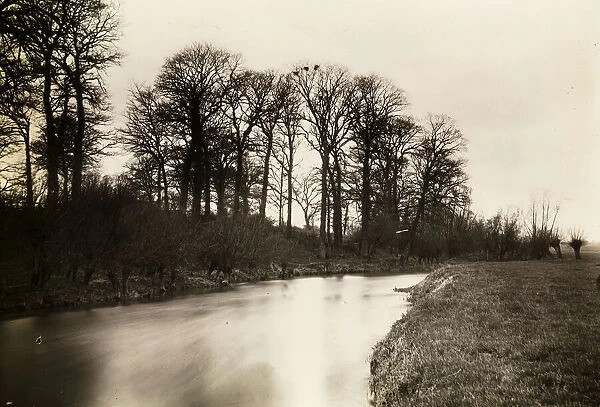 Kelmscott Manot: The Thames Near the Manor, 1896. Creator: Frederick Henry Evans