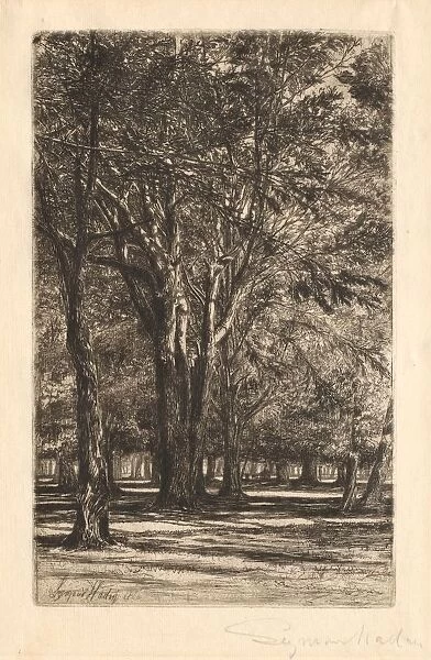 Kensington Gardens, No. 2 (Large Plate), 1860. Creator: Francis Seymour Haden (British, 1818-1910)