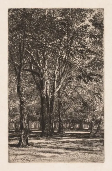 Framed Print : Kensington Gardens, No. 2 (The Larger Plate), 1860. Creator: Francis Seymour Haden (British Framed Print : Kensington Gardens, No. 2 (The Larger Plate), 1860. Creator: Francis Seymour Haden (British