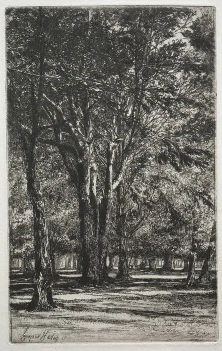 Framed Print : Kensington Gardens (The Large Plate), 1860. Creator: Francis Seymour Haden (British, 1818-1910) Framed Print : Kensington Gardens (The Large Plate), 1860. Creator: Francis Seymour Haden (British, 1818-1910)