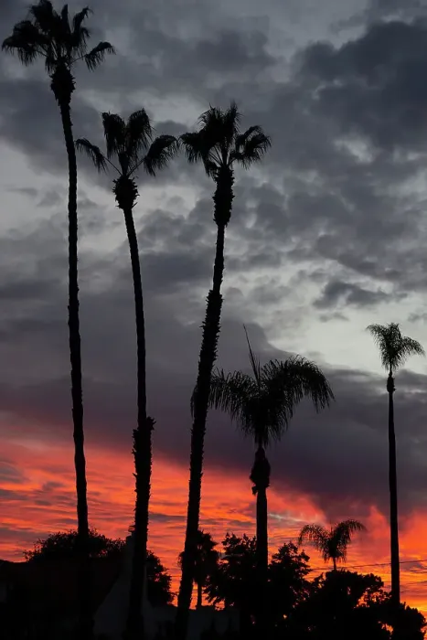 Framed Print : Kensington, San Diego, California, USA, 2022. Creator: Ethel Davies Framed Print : Kensington, San Diego, California, USA, 2022. Creator: Ethel Davies