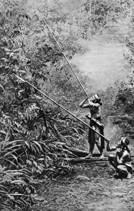 Framed Print : Kenyah men hunting for monkeys with blowpipes, Borneo, 1922. Artist: Dr Charles Hose Framed Print : Kenyah men hunting for monkeys with blowpipes, Borneo, 1922. Artist: Dr Charles Hose