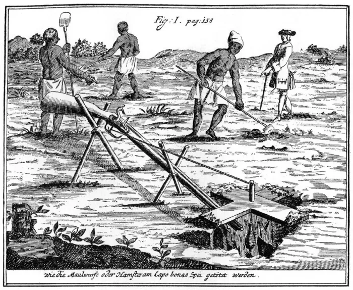 Framed Print : Khoikhois catching moles, South Africa, 18th century (1931) Framed Print : Khoikhois catching moles, South Africa, 18th century (1931)