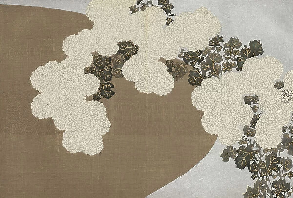 Kiku (Chrysanthemum). From the series 'A World of Things (Momoyogusa)', 1909-1910. Creator: Sekka, Kamisaka (1866-1942). Kiku (Chrysanthemum). From the series 'A World of Things (Momoyogusa)', 1909-1910