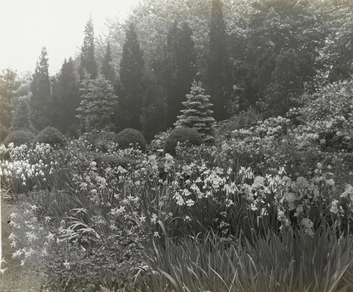 Framed Print : Killenworth, George Dupont Pratt house, Glen Cove, New York, c1918. Creator: Frances Benjamin Johnston. Killenworth, George Dupont Pratt house, Glen Cove, New York, c1918. Creator: Frances Benjamin Johnston Framed Print : Killenworth, George Dupont Pratt house, Glen Cove, New York, c1918. Creator: Frances Benjamin Johnston. Killenworth, George Dupont Pratt house, Glen Cove, New York, c1918. Creator: Frances Benjamin Johnston