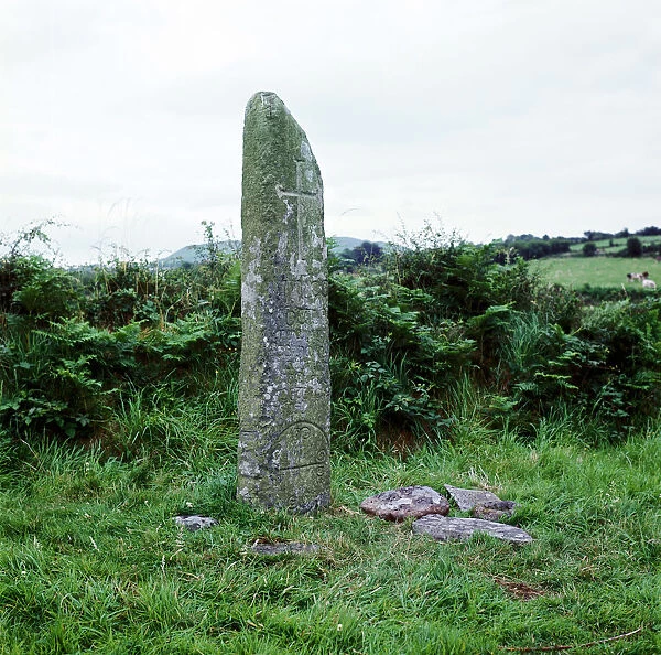 Kilnasaggart Cross Pillar, Armagh, Ireland, c714