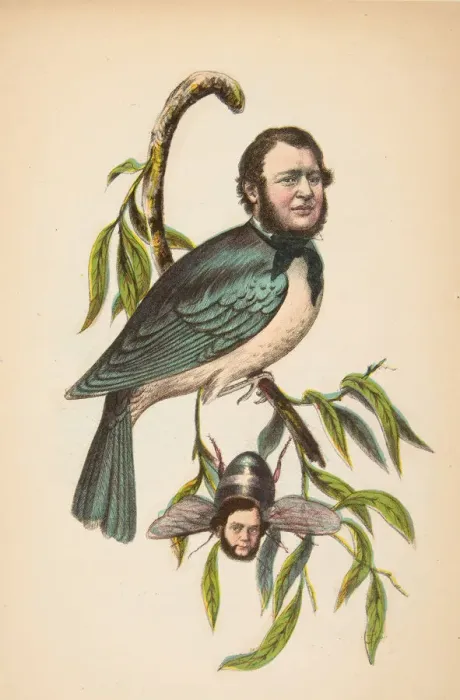 Framed Print : King Bird (Robert P. King and Alexander Baird), from The Comic Natural History of