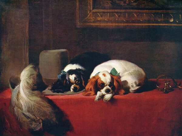 King Charles Spaniels (The Cavaliers Pets), 1845, (c1915). Artist: Edwin Henry Landseer