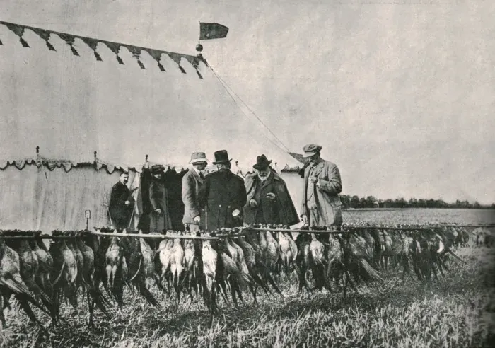 Framed Print : King Edward VII inspecting the bag at Sherborne Estate, 1902, (1910). Creator: Unknown Framed Print : King Edward VII inspecting the bag at Sherborne Estate, 1902, (1910). Creator: Unknown