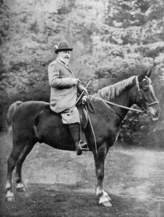 Framed Print : King Edward VII riding to the coverts at Sandringham, Norfolk, c1902-c1910 (1910). Artist: Knights-Whittome Framed Print : King Edward VII riding to the coverts at Sandringham, Norfolk, c1902-c1910 (1910). Artist: Knights-Whittome