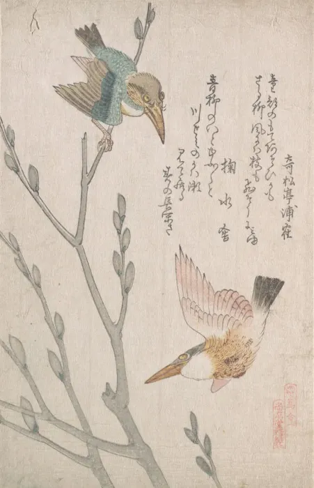 Framed Print : Kingfishers and Pussy-willow, 19th century. Creator: Kubo Shunman Framed Print : Kingfishers and Pussy-willow, 19th century. Creator: Kubo Shunman